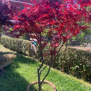 Delizioso In Tra Mare E Citta Acilia